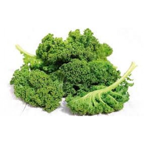 Semillería San Alfonso