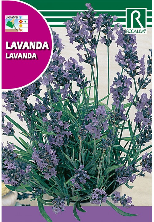 Semillería San Alfonso