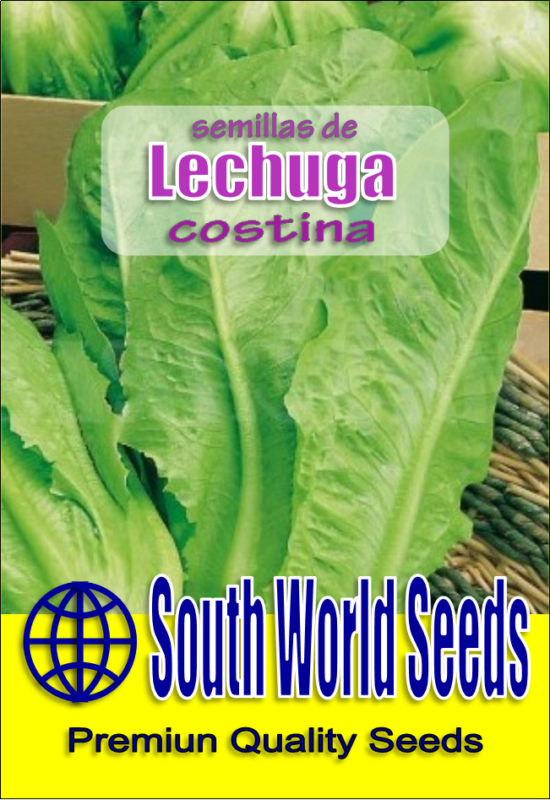 Semillería San Alfonso