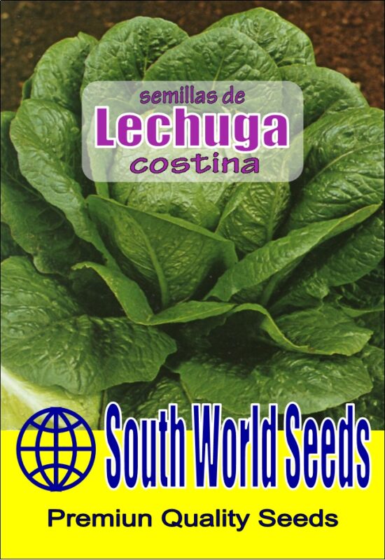 Semillería San Alfonso