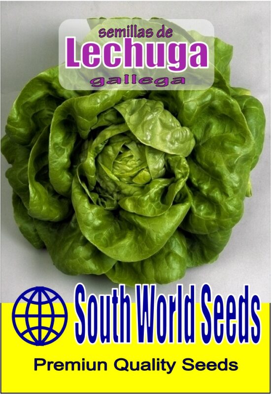 Semillería San Alfonso