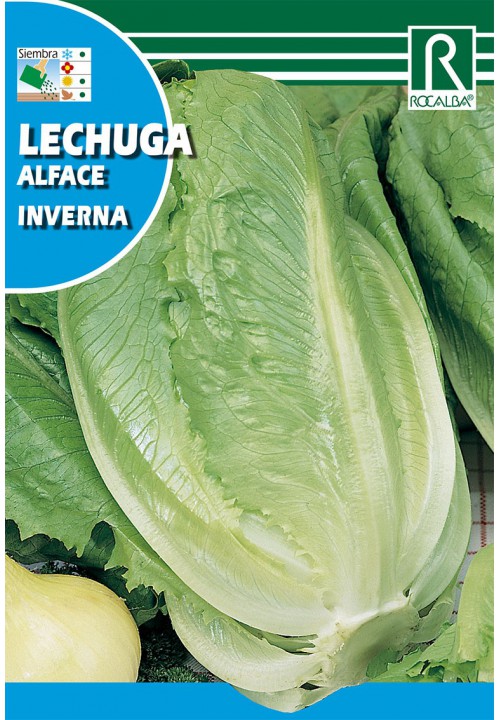 Semillería San Alfonso