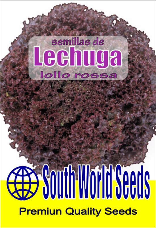 Semillería San Alfonso