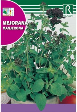 Semillas de Mejorana (1 g)