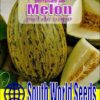Semillas de Melòn Piel de Sapo ( 10 SEMILLAS)