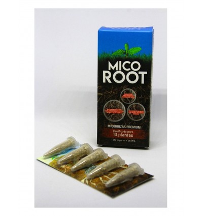 Semillería San Alfonso