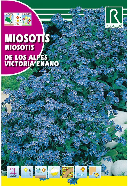 Semillería San Alfonso