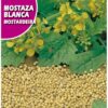 Semillas de Mostaza Blanca (10 grs)