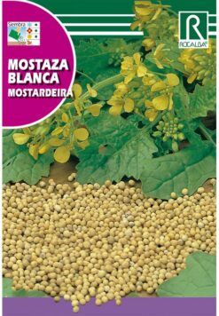 Semillas de Mostaza Blanca (10 grs)