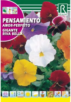 Semillas de Pensamiento Gigante Riva Bella (0,1 gr)