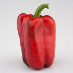 Semillas de Pimiento Hib. Chango F1 (1.000 sem)