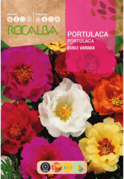 Semillas de Portulaca Doble Varida Rocalba (1 gr)