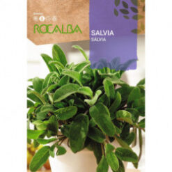 Semillas de Salvia Officinalis Rocalba  ( 2 grs)