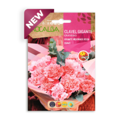 Semillas de Clavel Gigante Rosa Suave (1 gr)