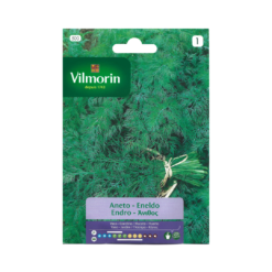 Semillas de Eneldo (5 Grs)