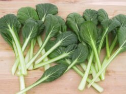 Semillas de Tatsoi Green Long Stem (100 grs)