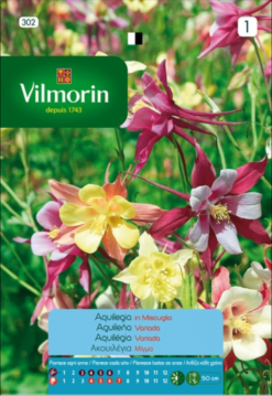 Semillas de Aquilegia Variada (0.4 gr)