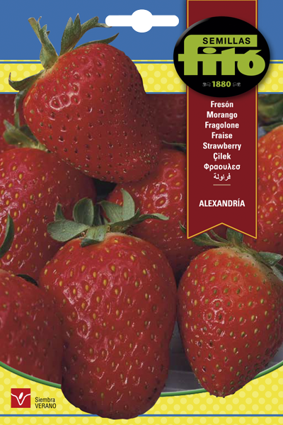 Semillería San Alfonso