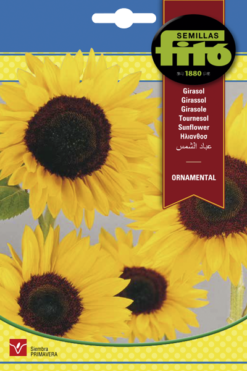 Semillas de Girasol Ornamental (10 gr)
