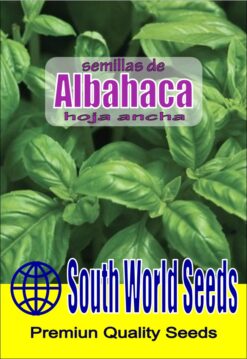 Semillas de Albahaca Hoja Ancha (3 grs)