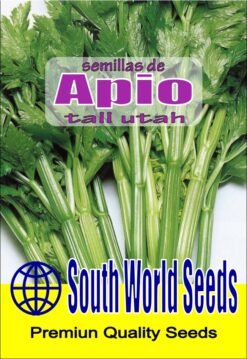 Semillas de Apio Tallo (1 gr)