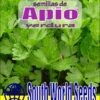 Semillas de Apio de Verdura (1 gr)
