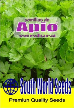 Semillas de Apio de Verdura (1 gr)