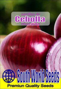 Semillas de Cebolla Morada (3 grs)