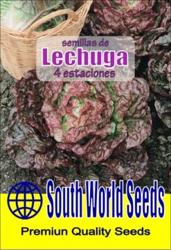 Semillas de Lechuga 4 estaciones (5 gr)