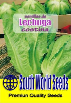 Semillas de Lechuga Costina (5 gr)