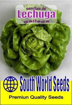 Semillas de Lechuga Gallega (5 gr)