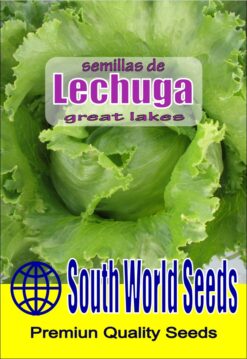 Semillas de Lechuga Escarola (5 gr)