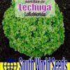 Semillas de Lechuga Lollobionda (3 gr)
