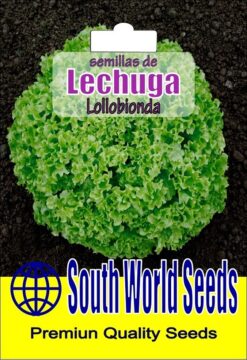 Semillas de Lechuga Lollobionda (3 gr)