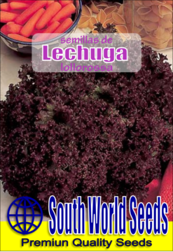 Semillas de Lechuga Lollorossa (4 gr)