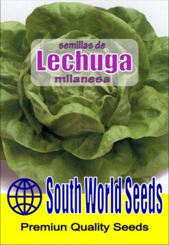 Semillas de Lechuga Milanesa (5 gr)