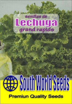 Semillas de Lechuga Grand Rapids (5 gr)