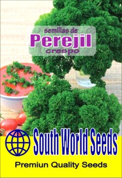 Semillas de Perejil Crespo (3 gr)