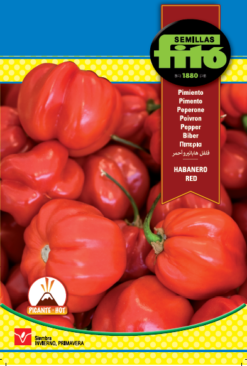 Semillas de Pimiento Habanero Red (1 gr)