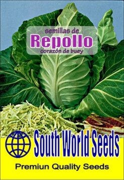 Semillas de Repollo Corazon de Buey (3 gr)