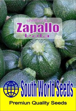 Semillas de Zapallito Bola ( 5 gr)