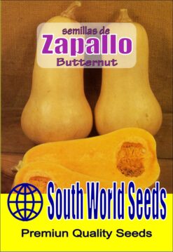 Semillas de Zapallo Butternut (3 gr)