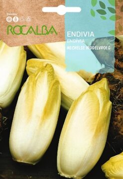 Semillas de Endivia Mechelsen Middlevroef (10 gr) Rocalba