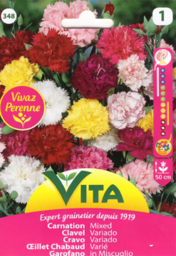 clavel variado