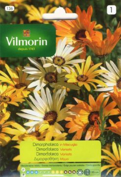 Semillas de Dimorphoteca Variada (1 gr)