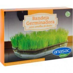 Bandeja Germinadora para Brotes