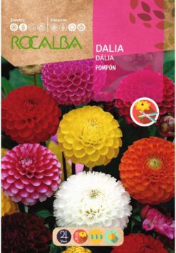 Semillas de Dalia Pompon Variada (2 gr)