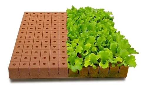 Semillería San Alfonso