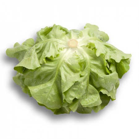 Semillería San Alfonso