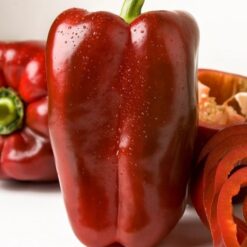Semillas de Pimiento Correntin F1 ( 1.000 sem)